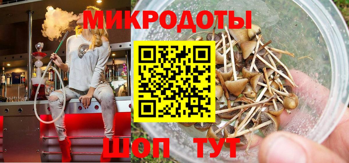Псилоцибиновые грибы Psilocybine cubensis  Вход с VPN  Реж 